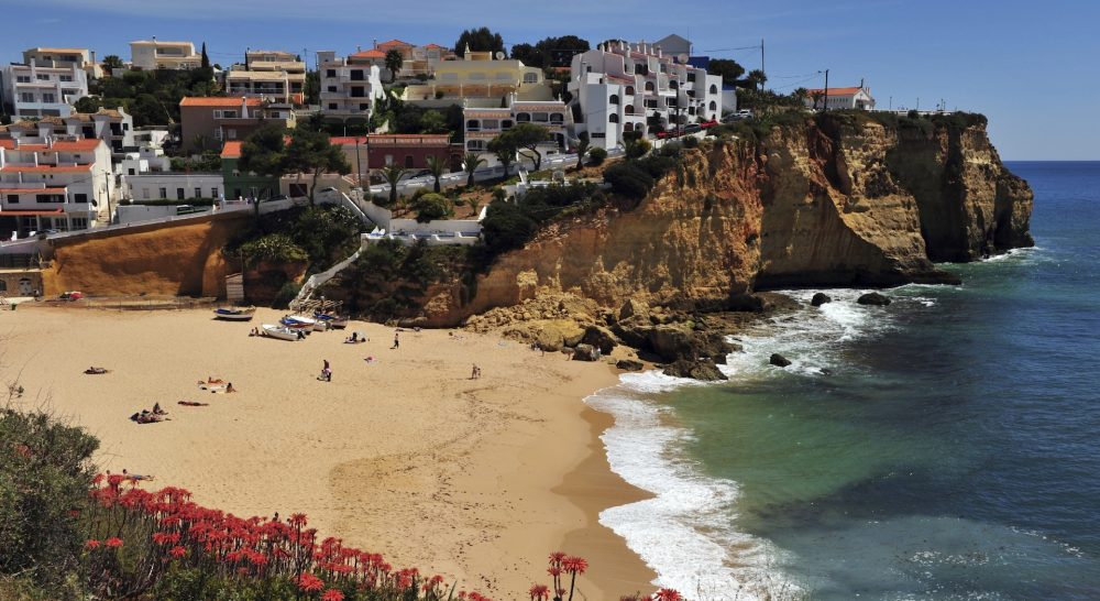Luxury villas for surfing