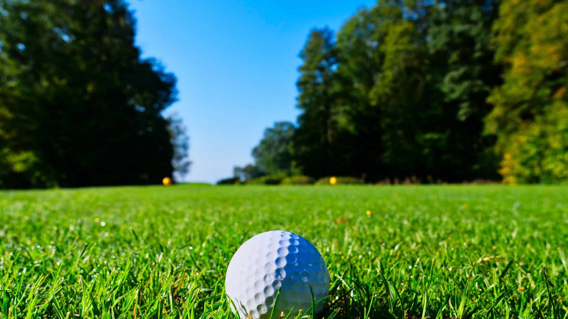 A lush green golf course and ball, which is what you want for golf weekends away in the Algarve!